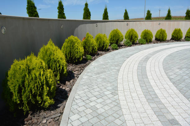 Best Driveway Pavers Near Me  in Grover, WY
